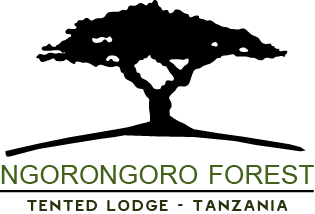 Ngorongoro Forest Tented Lodge
